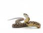 Заговоры и обряды от нападения змеи