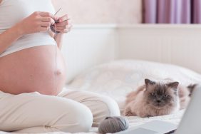 Актуальные приметы с кошками для беременных