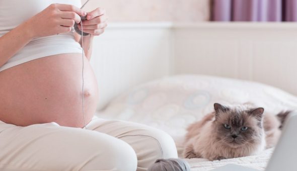 Актуальные приметы с кошками для беременных